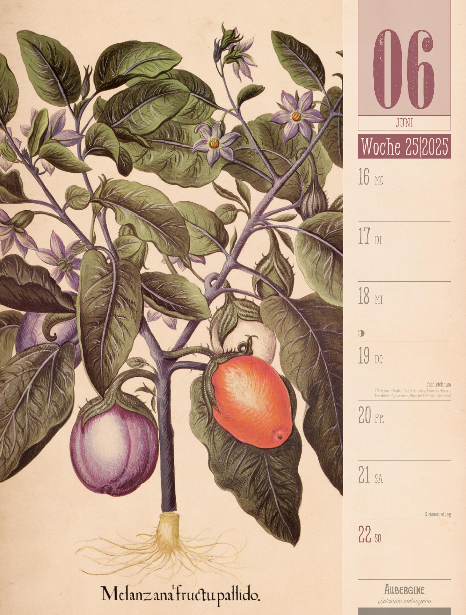 Culinarium - Küche, Kräuter, Kurioses - Vintage Wochenplaner Kalender 2025