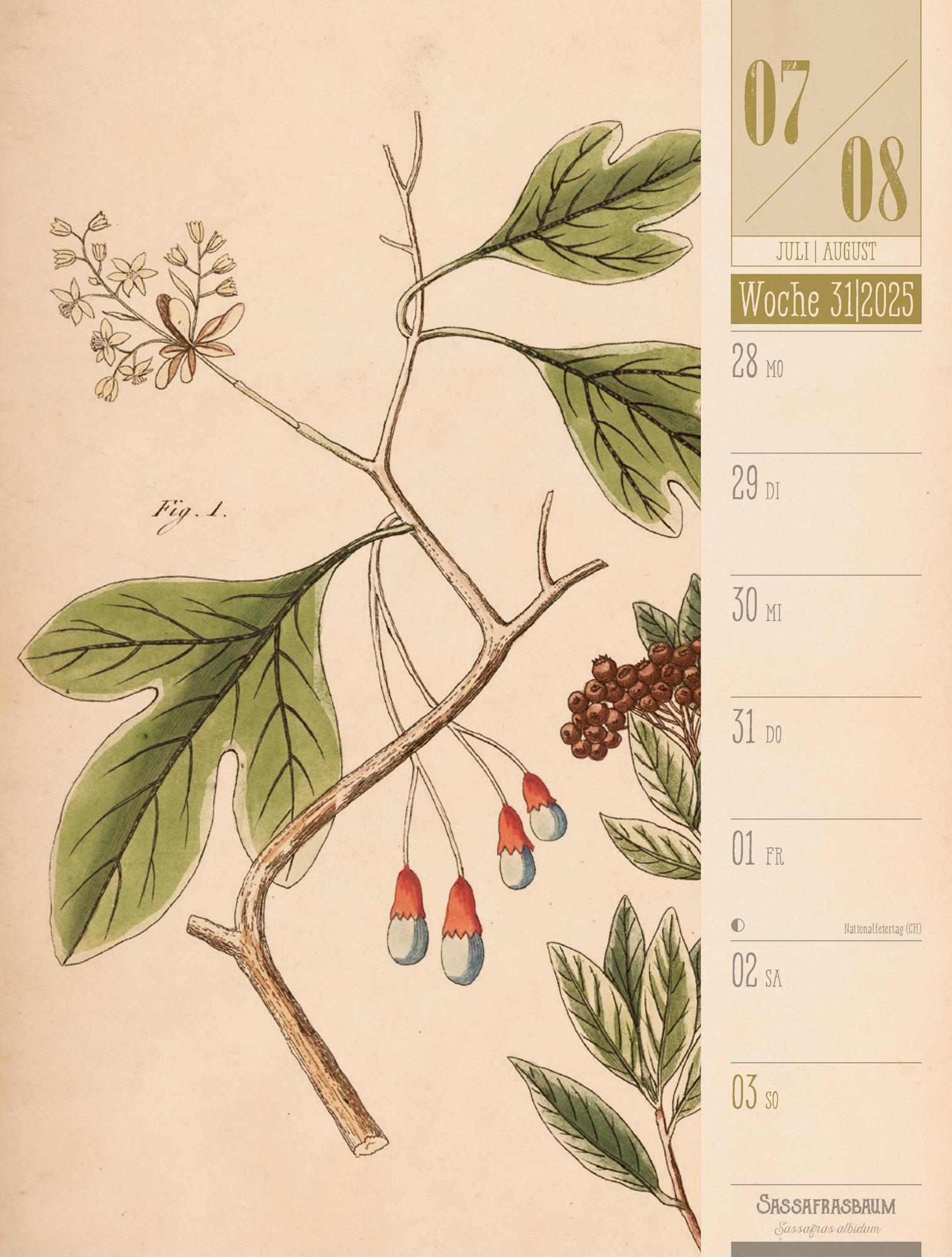 Culinarium - Küche, Kräuter, Kurioses - Vintage Wochenplaner Kalender 2025