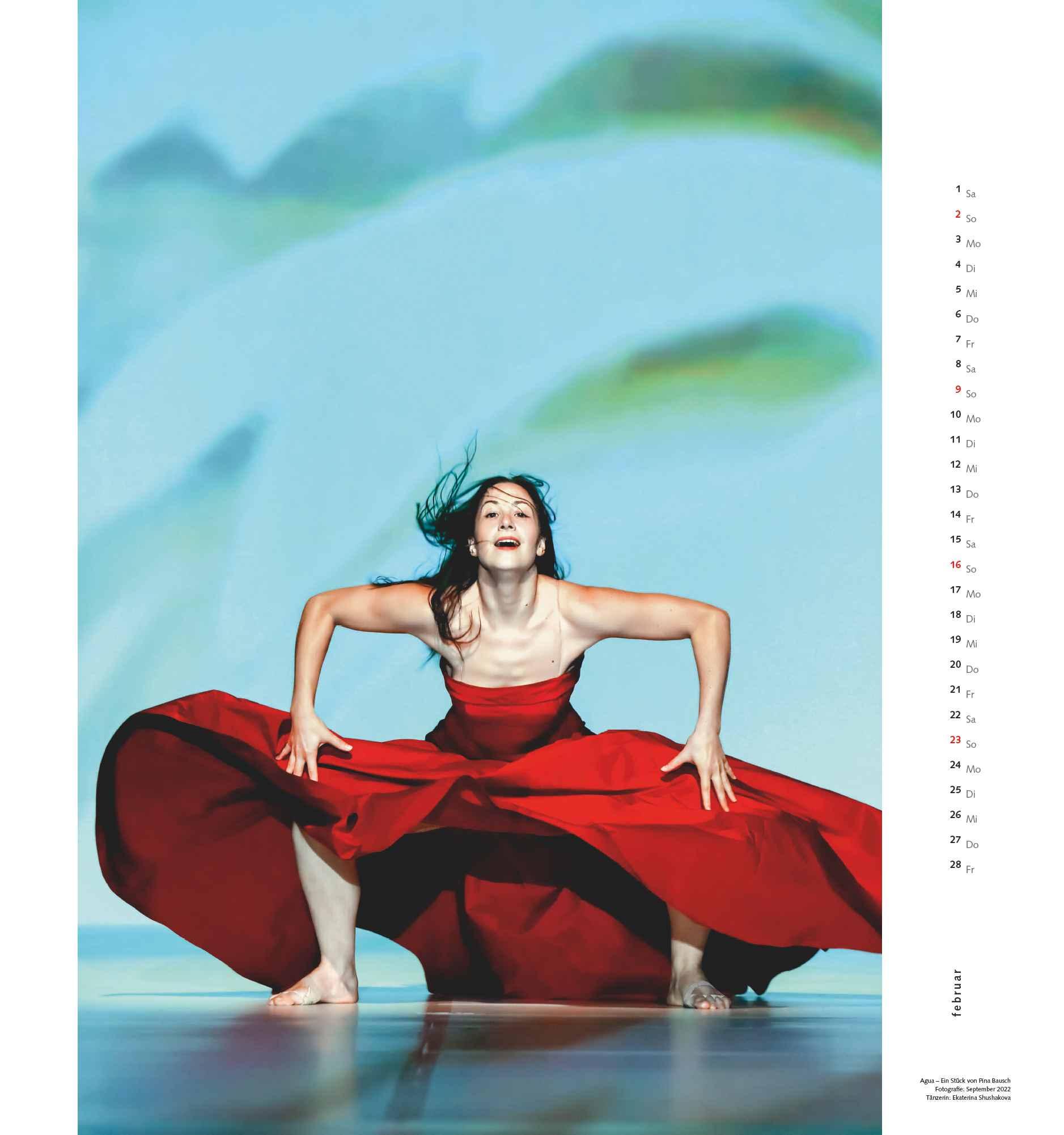 Pina Bausch und das Tanztheater Wuppertal 2025 - Ballett - Wandkalender 45 x 48 cm - Spiralbindung