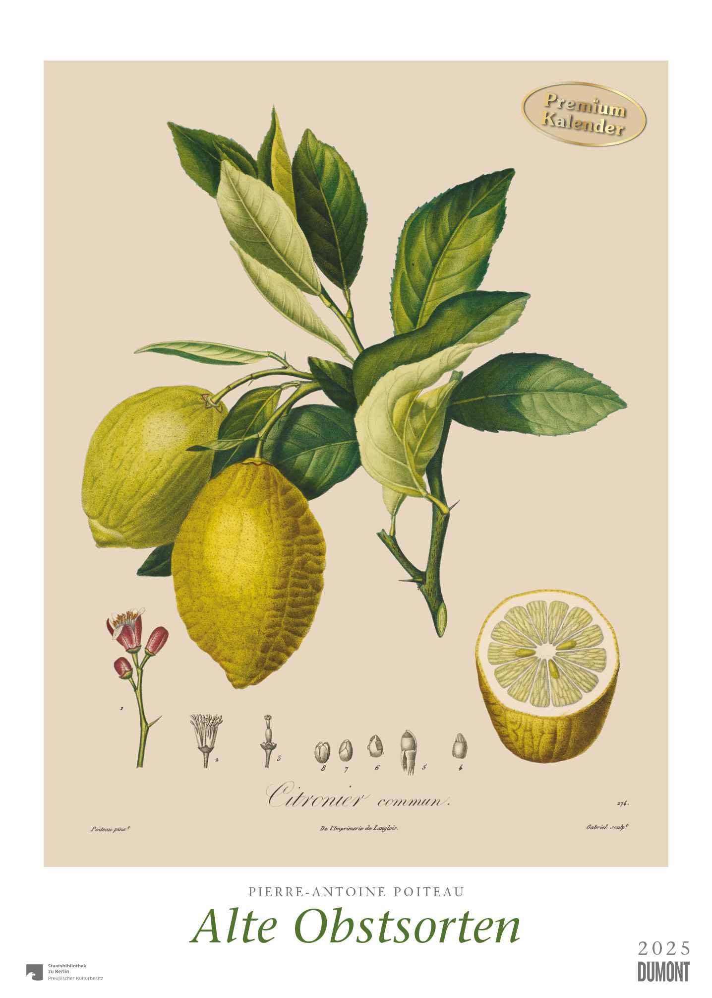 Pierre Antoine Poiteau: Alte Obstsorten 2025 - DUMONT Kunst-Kalender - Poster-Format 50 x 70 cm