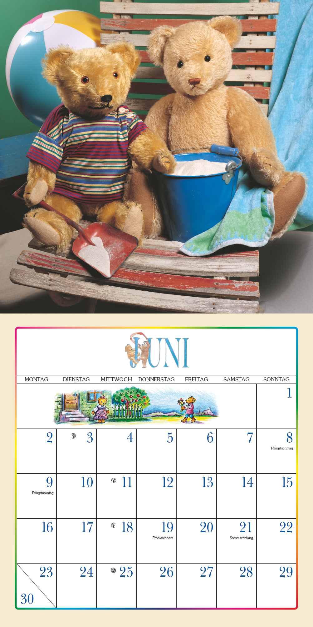 Der Teddybär 2025 - Broschürenkalender - Wandkalender - Format 30 x 30 cm