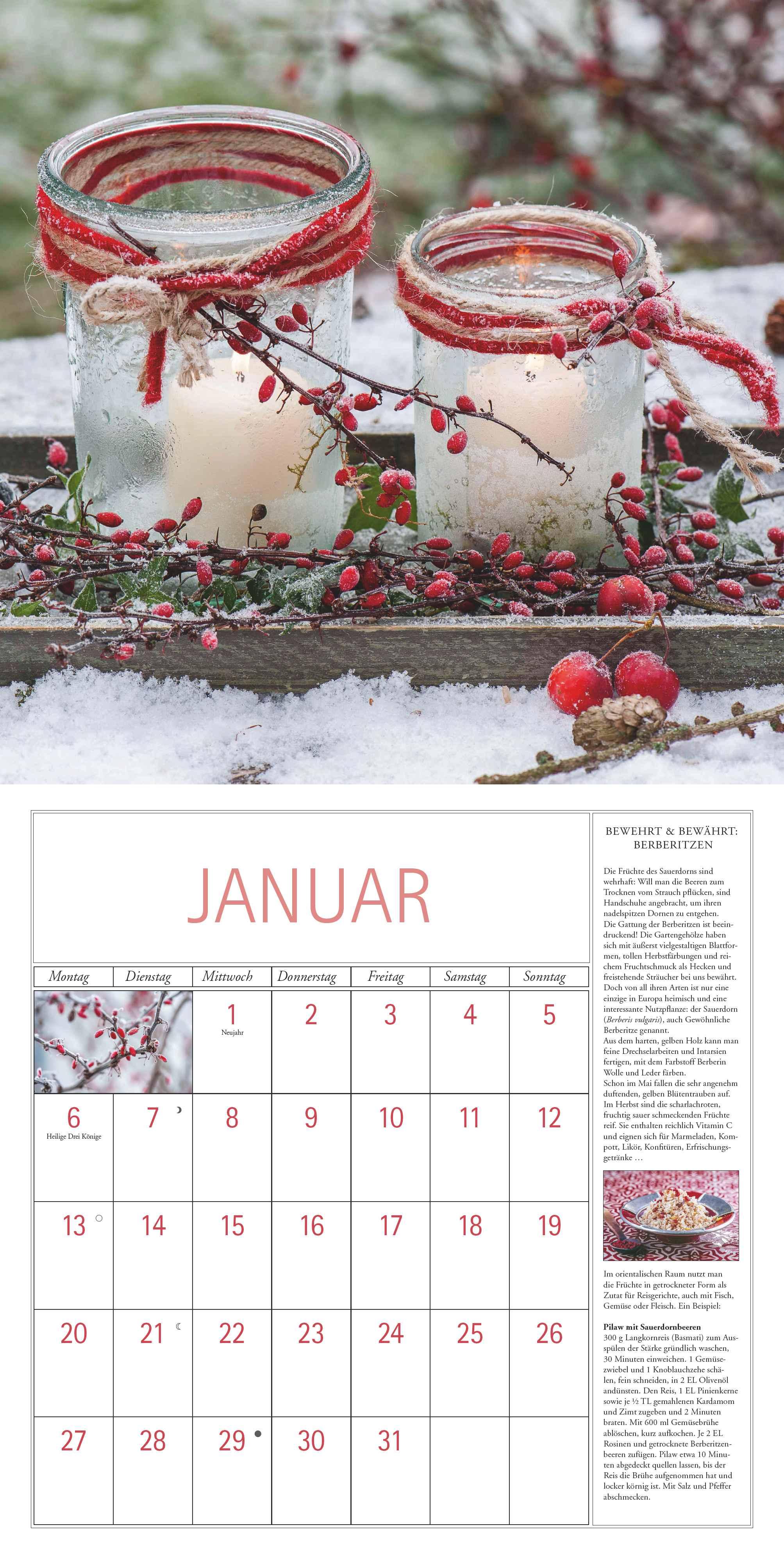 DuMonts Kräuter-Kalender 2025 - Broschürenkalender - mit Texten und Rezepten - Format 30 x 30 cm