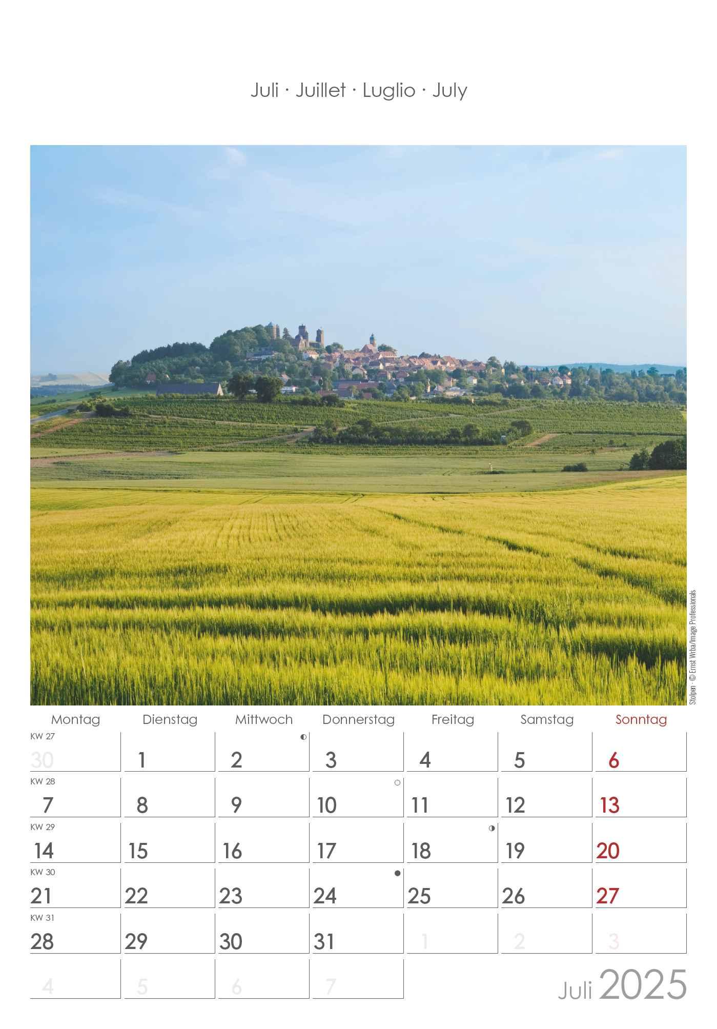 Sachsen 2025 - Bild-Kalender 23,7x34 cm - Regional-Kalender - Wandkalender - mit Platz für Notizen - Alpha Edition