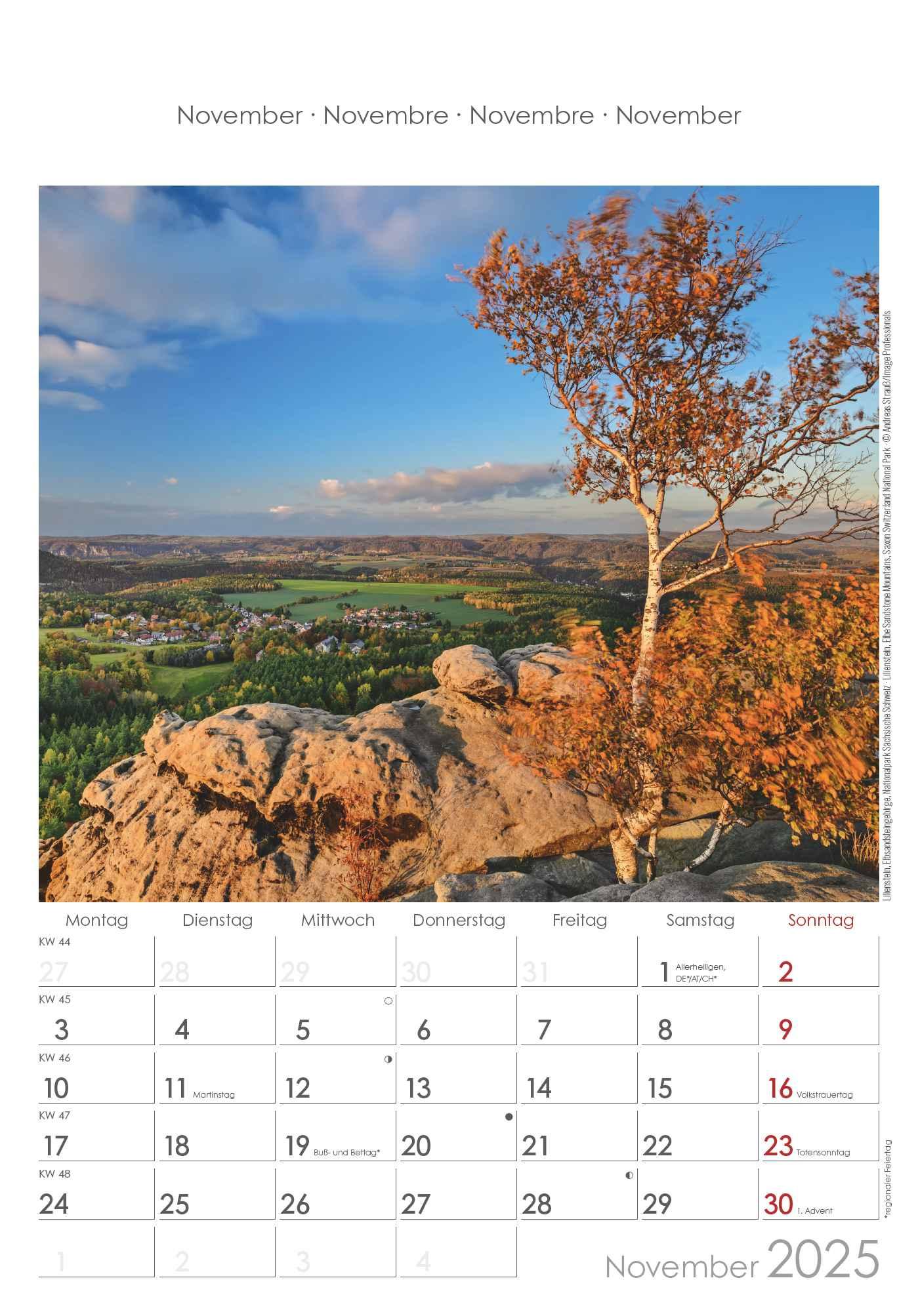 Sachsen 2025 - Bild-Kalender 23,7x34 cm - Regional-Kalender - Wandkalender - mit Platz für Notizen - Alpha Edition