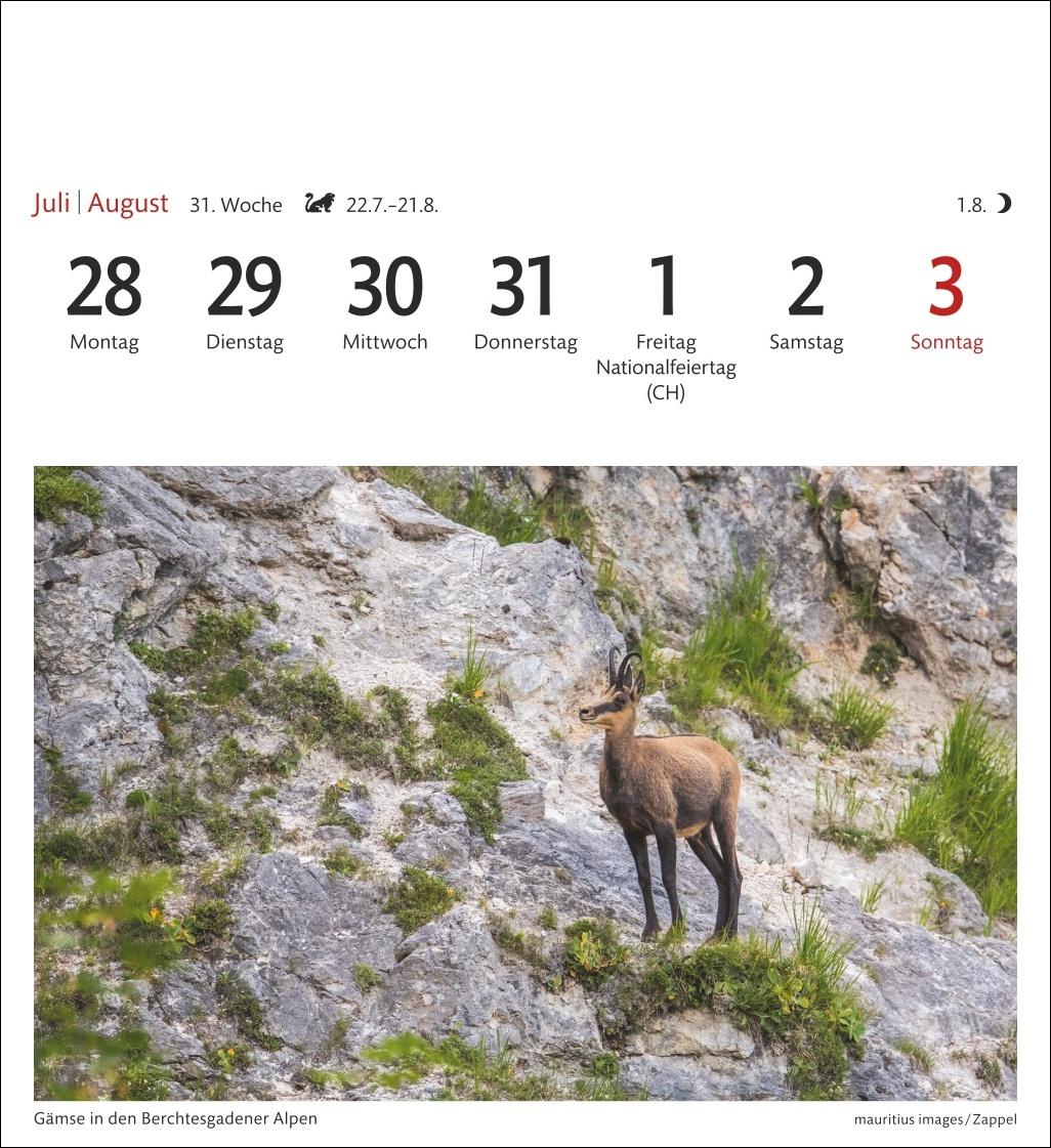 Alpen Sehnsuchtskalender 2025 - Wochenkalender mit 53 Postkarten