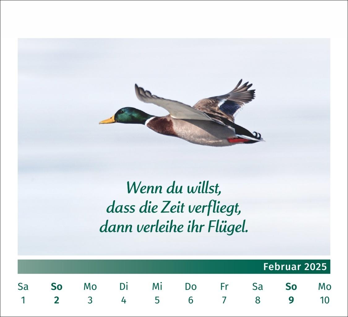 PAL - Der Lebensfreude Tischkalender 2025