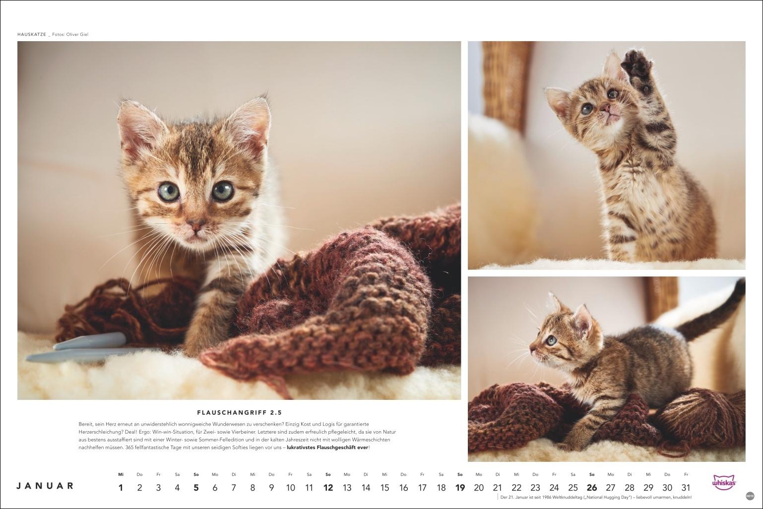 Whiskas Katzenkalender 2025