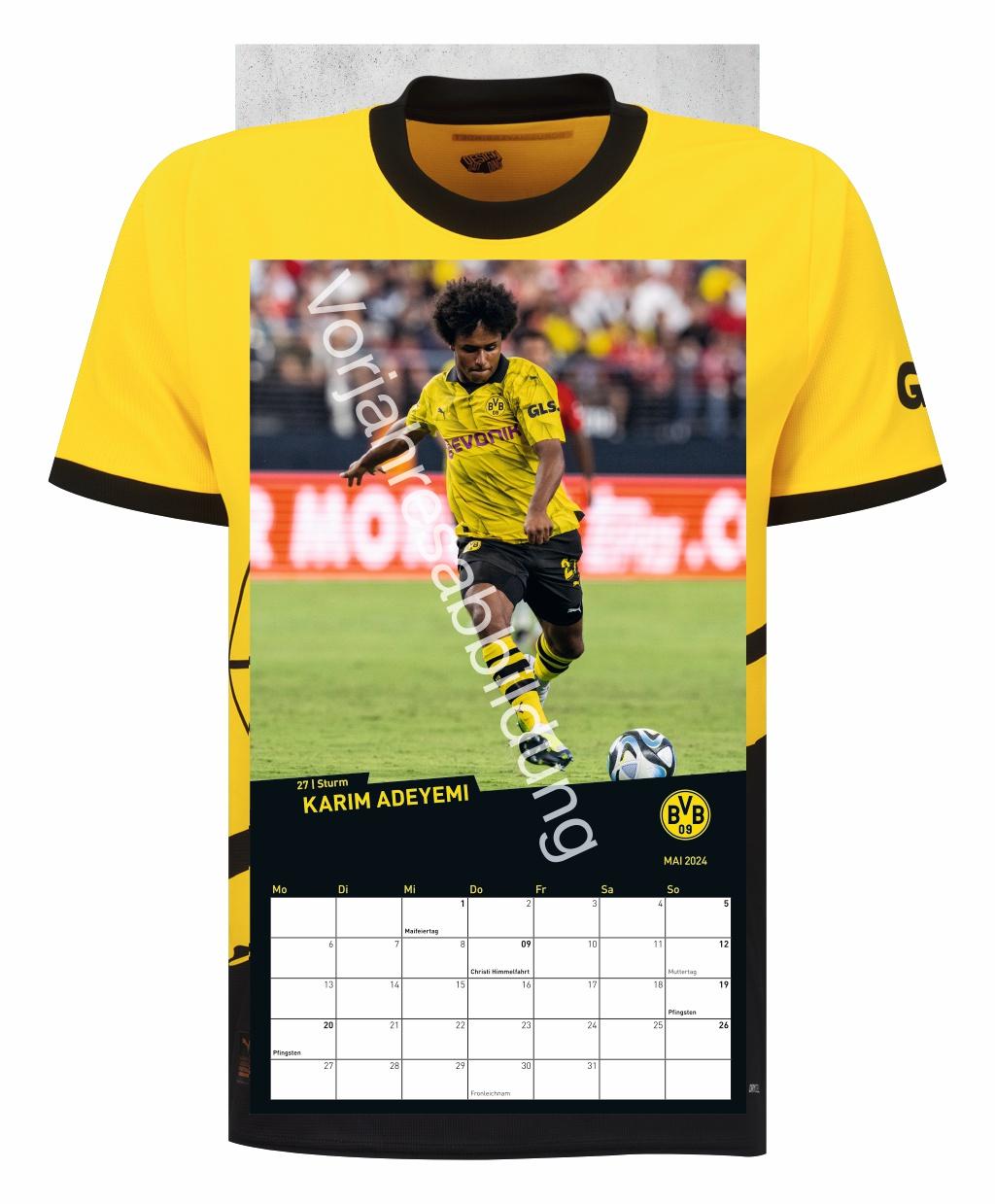 BVB Trikotkalender 2025