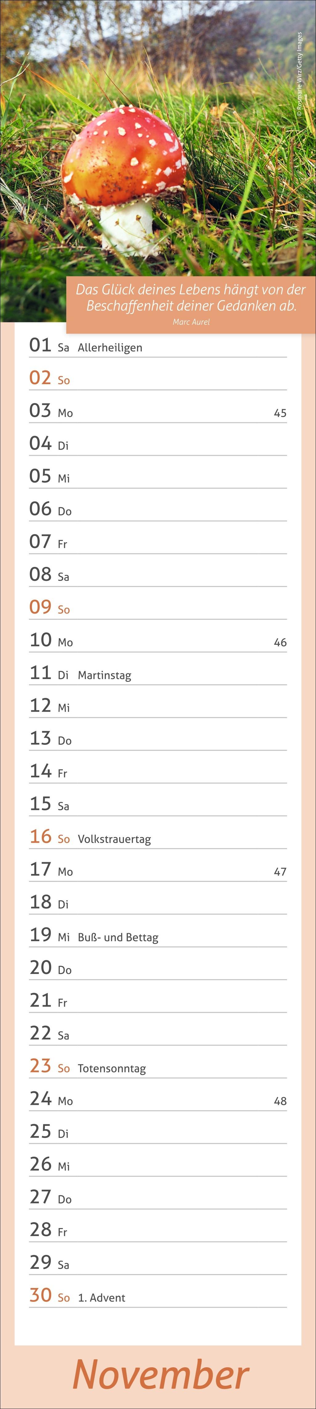 Tage voller Glück Langplaner 2025