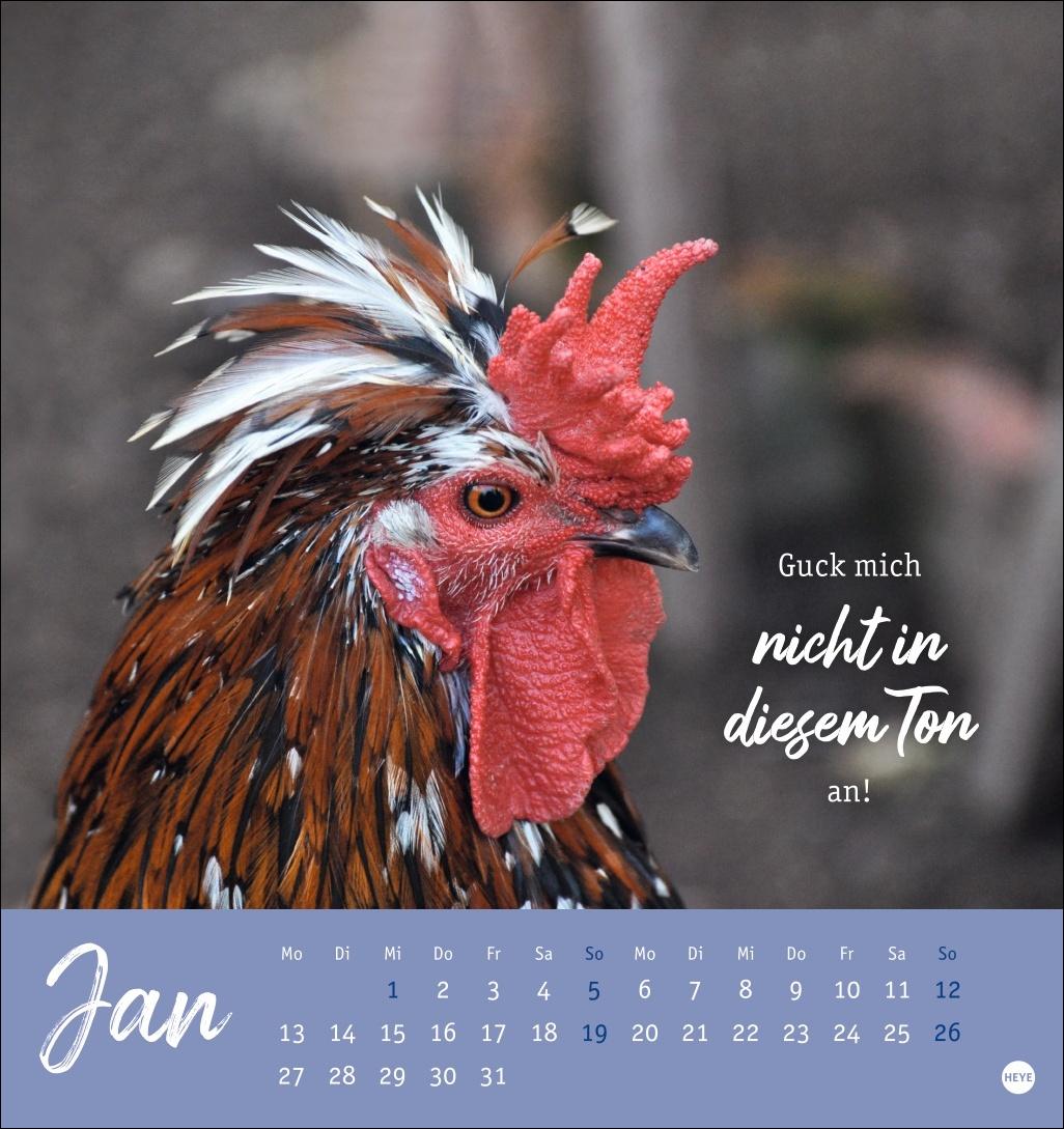 Hühner Postkartenkalender 2025 - Ach, du verrücktes Huhn!