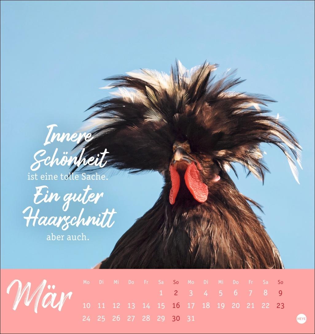 Hühner Postkartenkalender 2025 - Ach, du verrücktes Huhn!