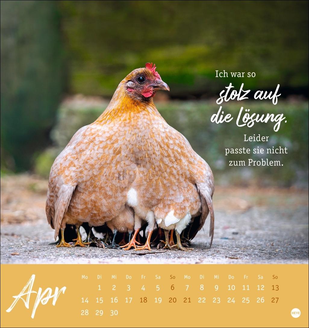 Hühner Postkartenkalender 2025 - Ach, du verrücktes Huhn!