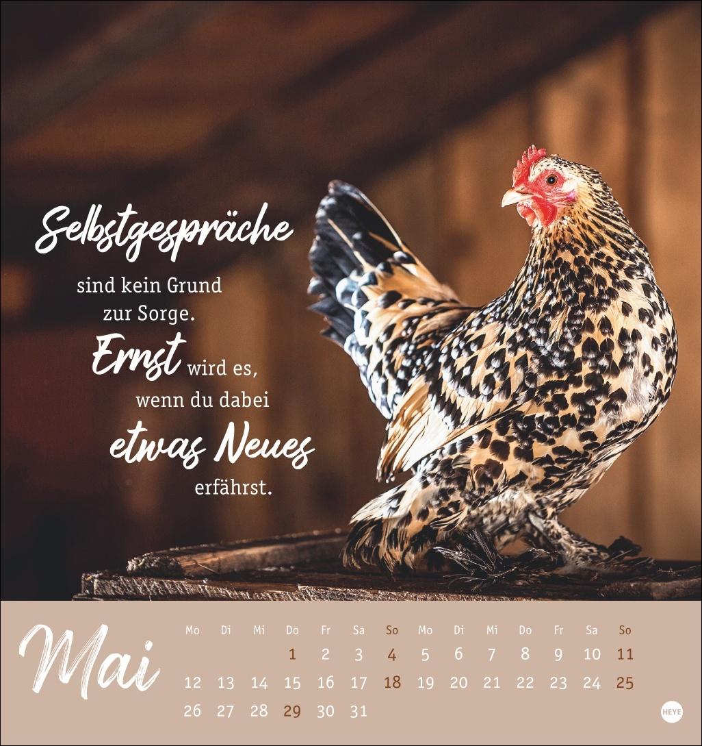 Hühner Postkartenkalender 2025 - Ach, du verrücktes Huhn!