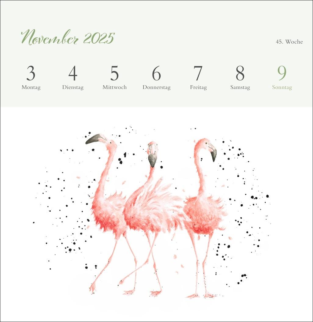 Hannah Dale: Happy Animals Premium-Postkartenkalender 2025