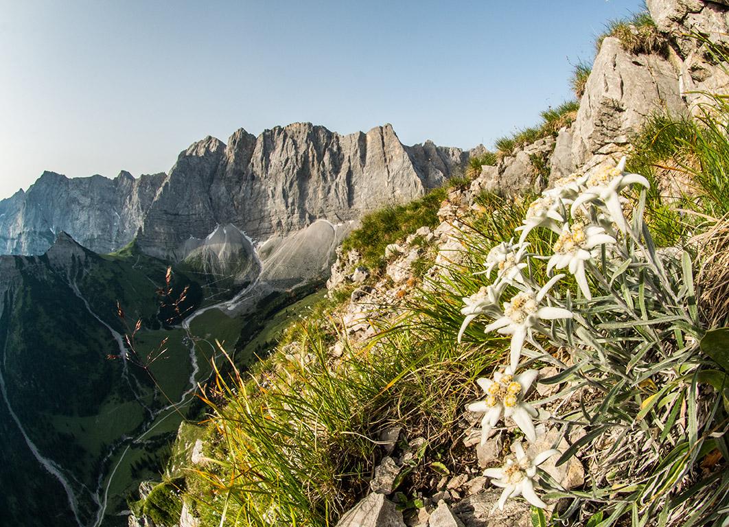 Karwendel