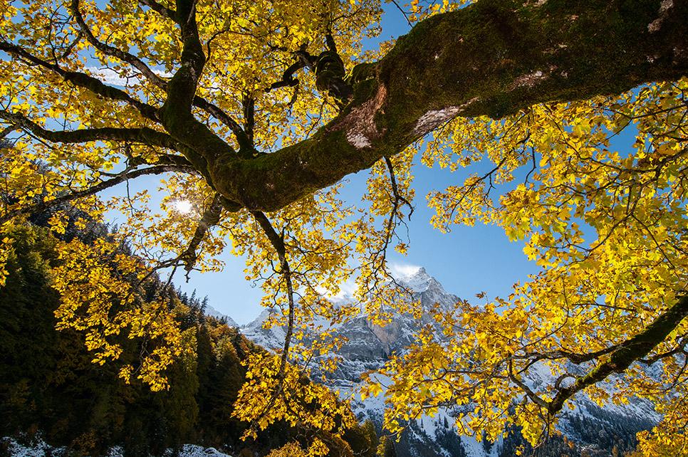 Karwendel