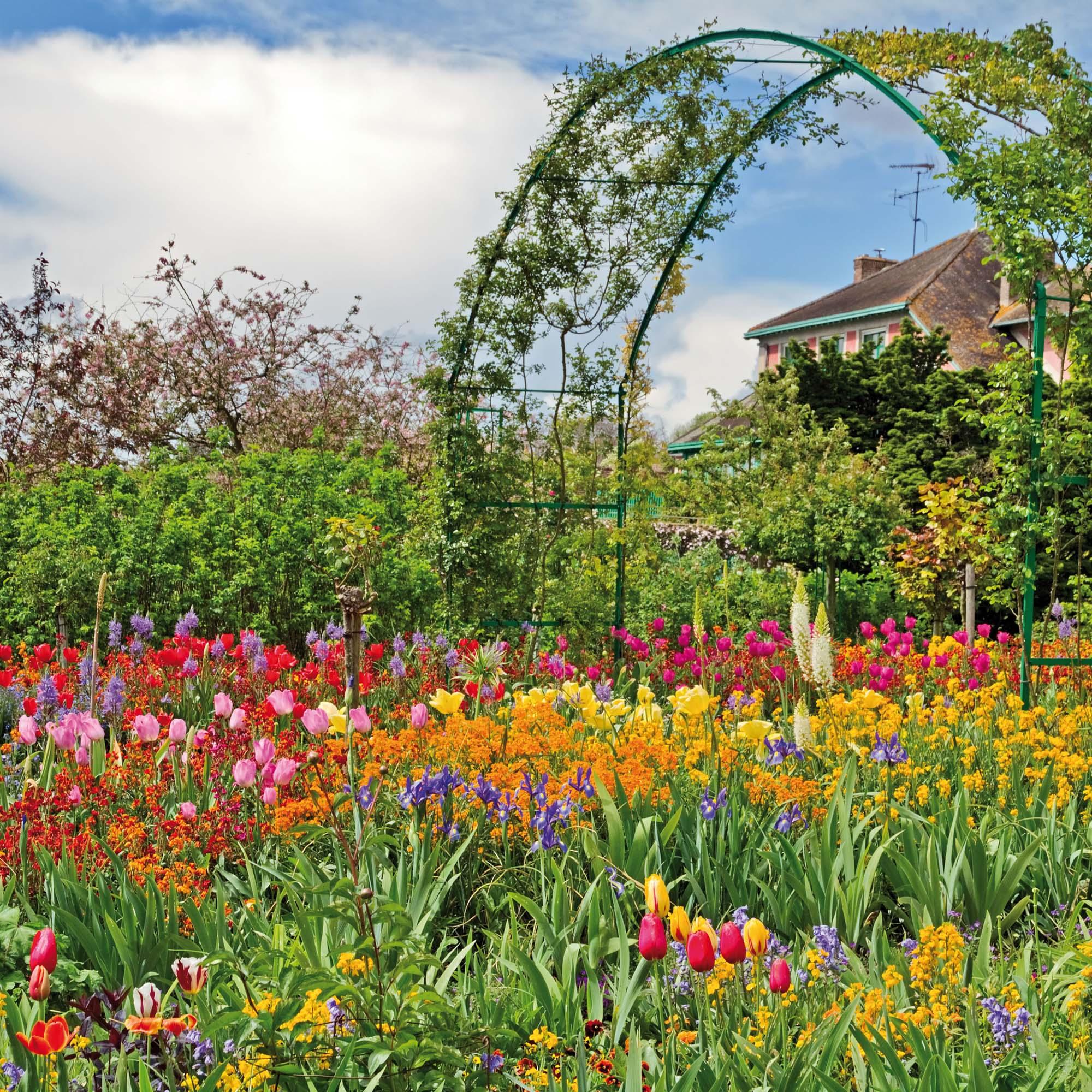 Cottage Garden/Bauerngarten 2025