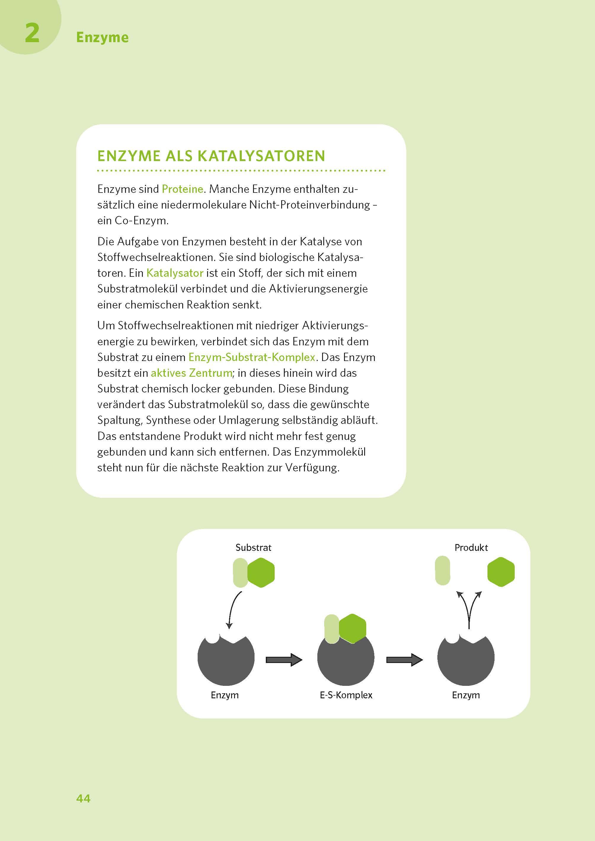 PONS Abi-Check XXL Biologie