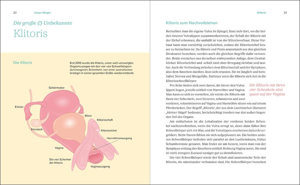 Das große Gynbuch