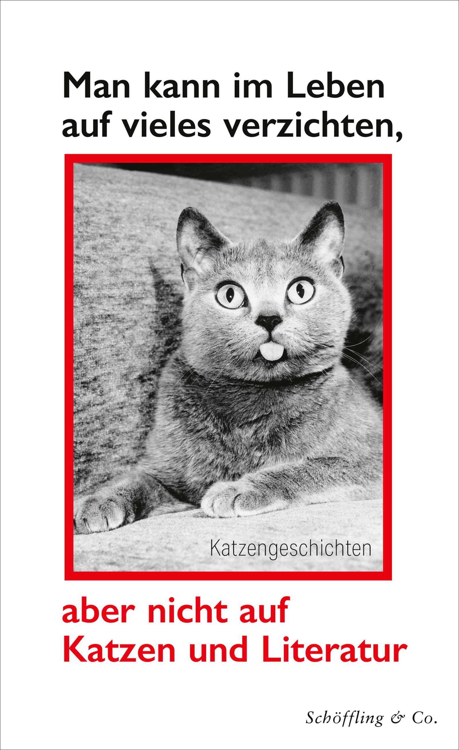 Man kann im Leben auf vieles verzichten, aber nicht auf Katzen und Literatur