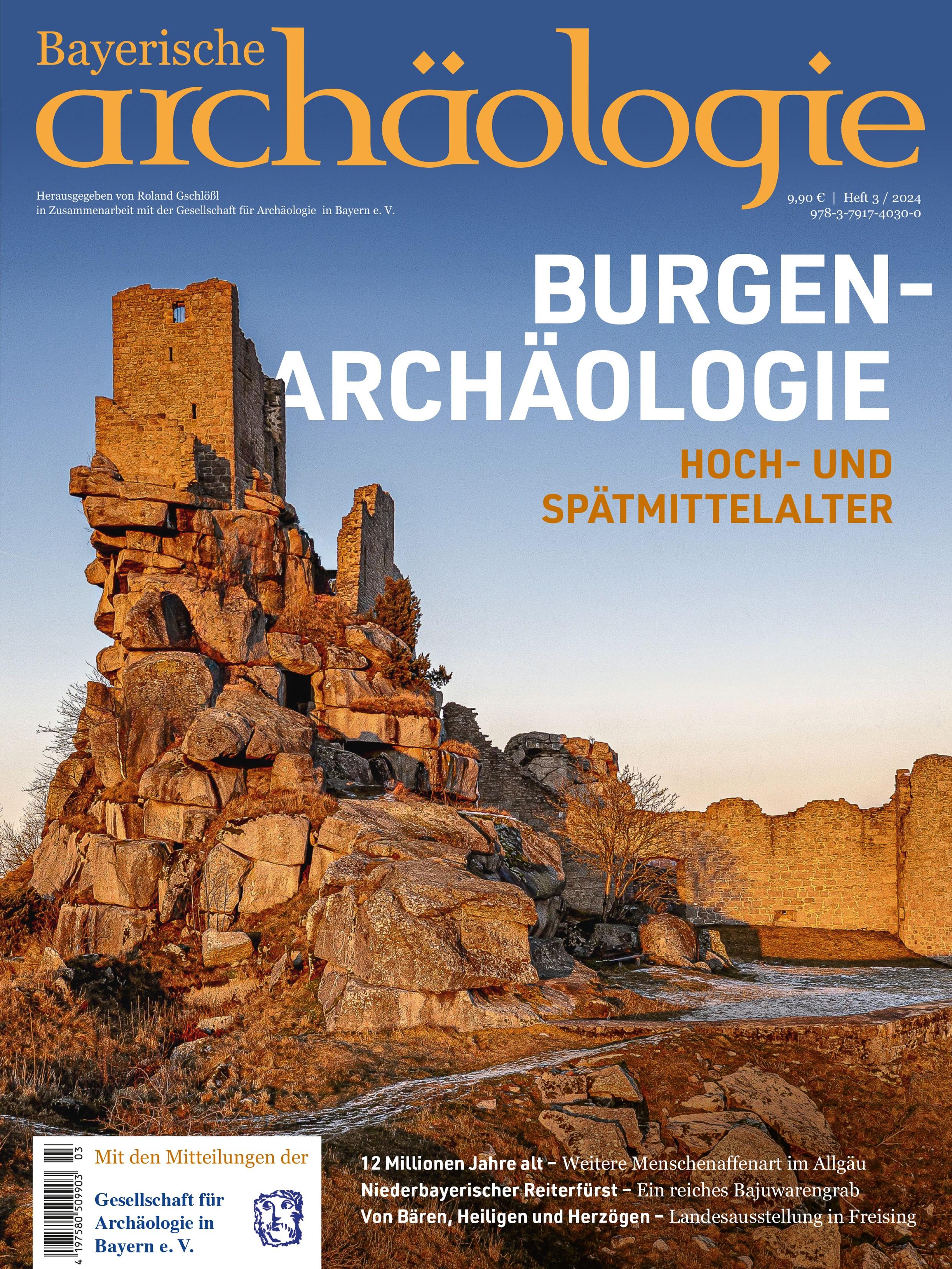 Burgenarchäologie. Hoch- und Spätmittelalter