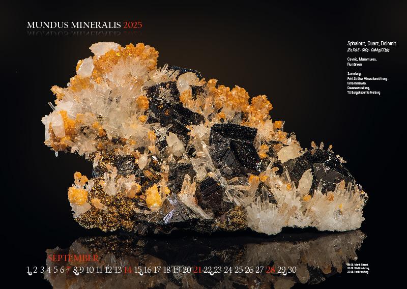 MUNDUS MINERALIS 2025