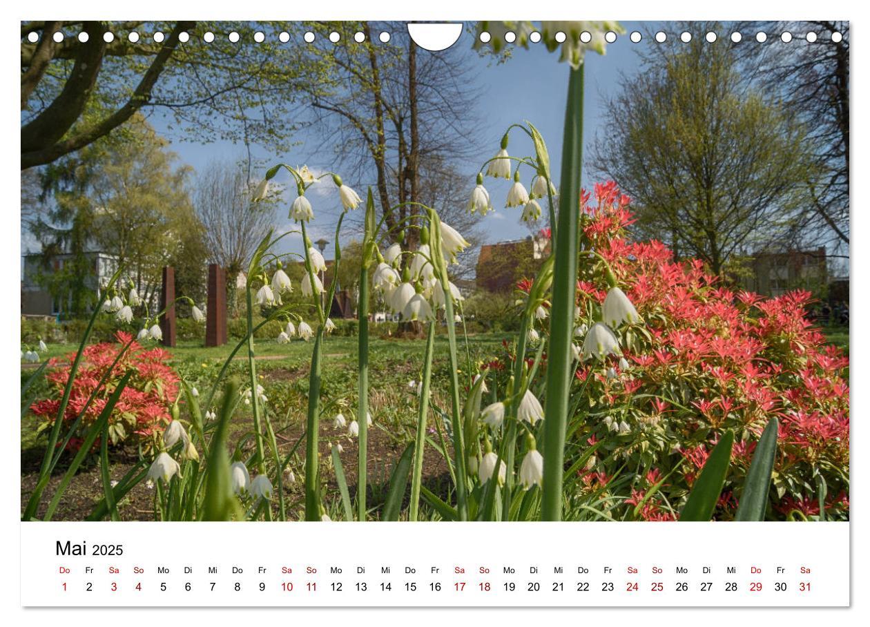 Buxtehude - Eine Perle in Niedersachsen (Wandkalender 2025 DIN A4 quer), CALVENDO Monatskalender