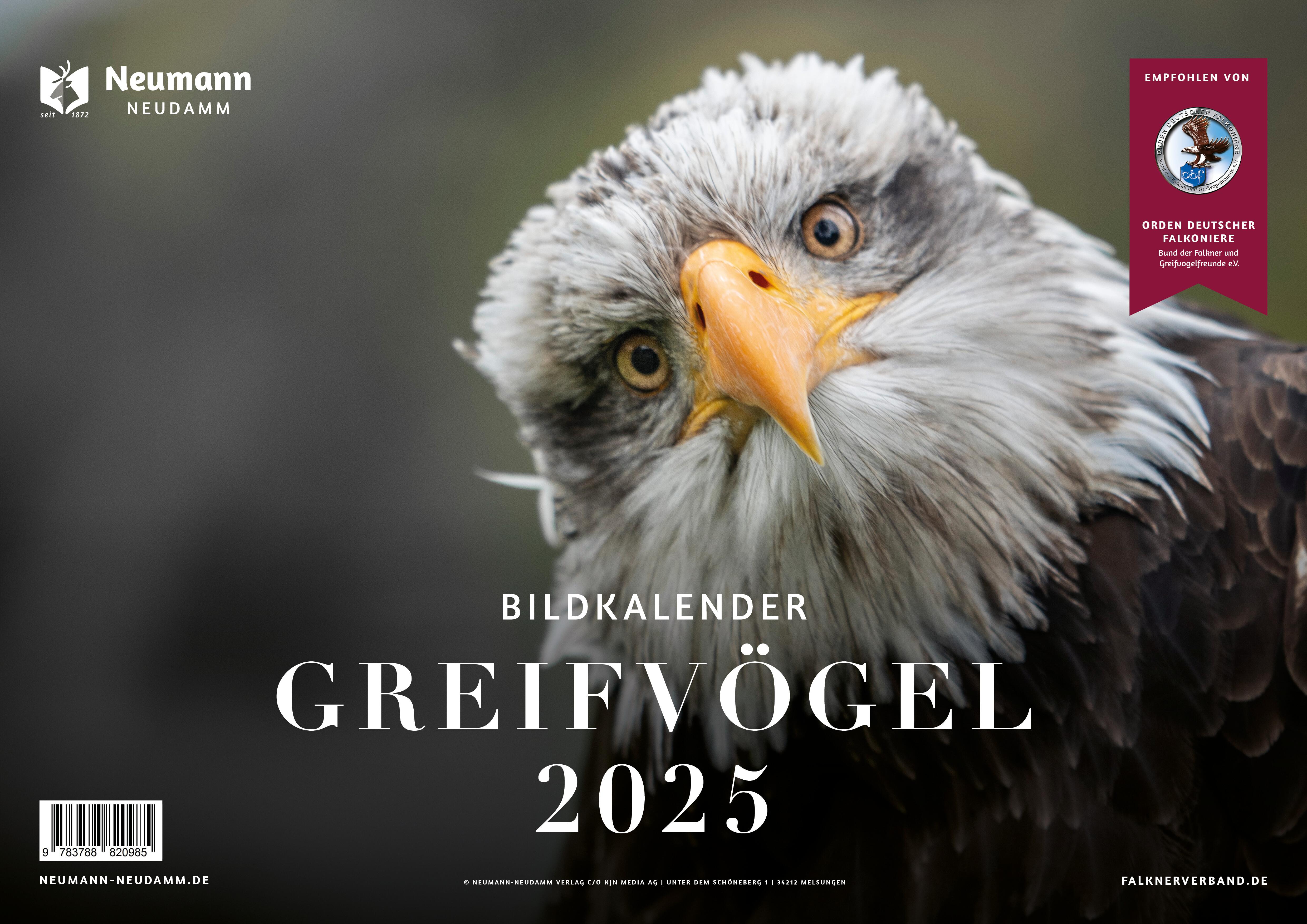 Greifvögel 2025