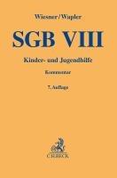 SGB VIII