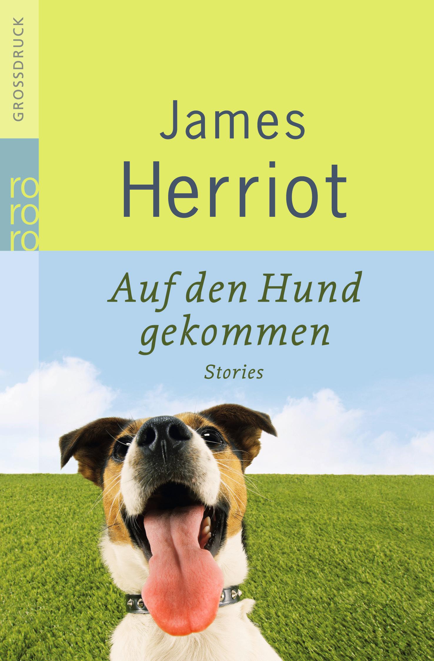 Auf den Hund gekommen. Großdruck