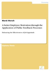 A better Employee Motivation through the Application of Public Feedback Processes