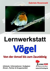 Lernwerkstatt Vögel (GS)