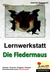 Lernwerkstatt Die Fledermaus