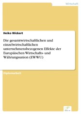 Die gesamtwirtschaftlichen und einzelwirtschaftlichen unternehmensbezogenen Effekte der Europäischen Wirtschafts- und Währungsunion (EWWU)