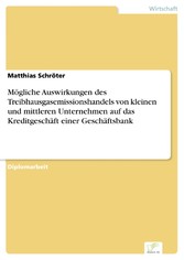 Mögliche Auswirkungen des Treibhausgasemissionshandels von kleinen und mittleren Unternehmen auf das Kreditgeschäft einer Geschäftsbank