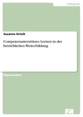 Computerunterstützes Lernen in der betrieblichen Weiterbildung