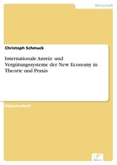 Internationale Anreiz- und Vergütungssysteme der New Economy in Theorie und Praxis