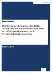 Der Beitrag des Groupware-Produktes Team-Works auf der Plattform Lotus Notes zur effizienten Gestaltung eines Vertriebsinformationssystems