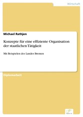 Konzepte für eine effiziente Organisation der staatlichen Tätigkeit