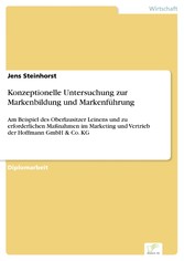 Konzeptionelle Untersuchung zur Markenbildung und Markenführung