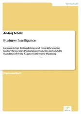 Business Intelligence