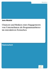 Chancen und Risiken eines Engagements von Unternehmen als Programmanbieter im interaktiven Fernsehen