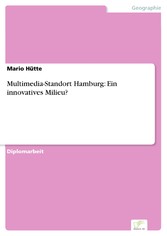 Multimedia-Standort Hamburg: Ein innovatives Milieu?