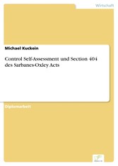 Control Self-Assessment und Section 404 des Sarbanes-Oxley Acts