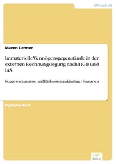 Immaterielle Vermögensgegenstände in der externen Rechnungslegung nach HGB und IAS