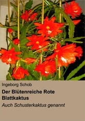 Der Blütenreiche Rote Blattkaktus