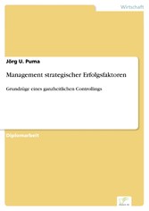 Management strategischer Erfolgsfaktoren