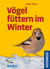 Vögel füttern im Winter