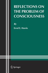 Reflections on the Problem of Consciousness