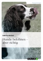 Hunde belohnen - aber richtig